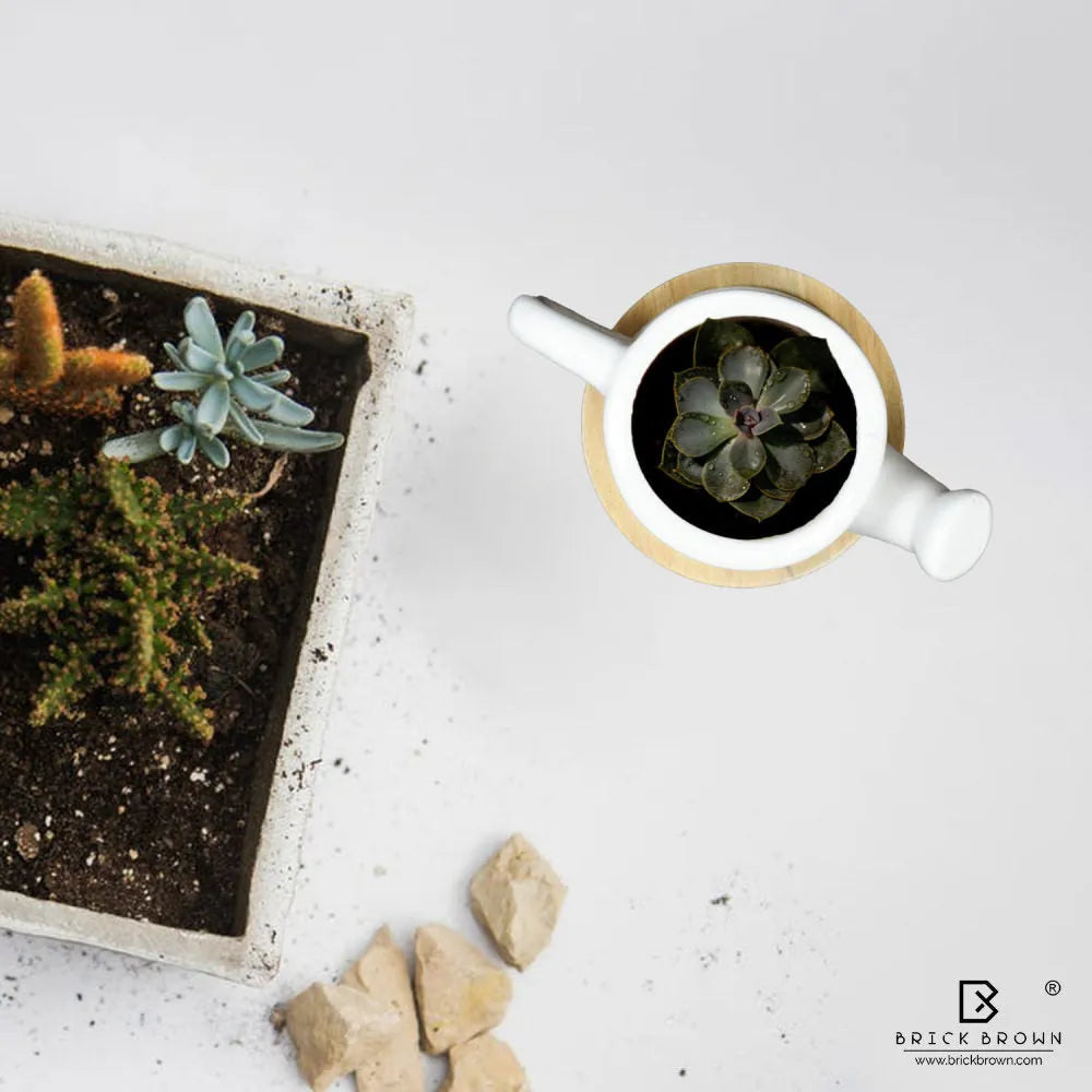 Kettle Planter with Wooden Base