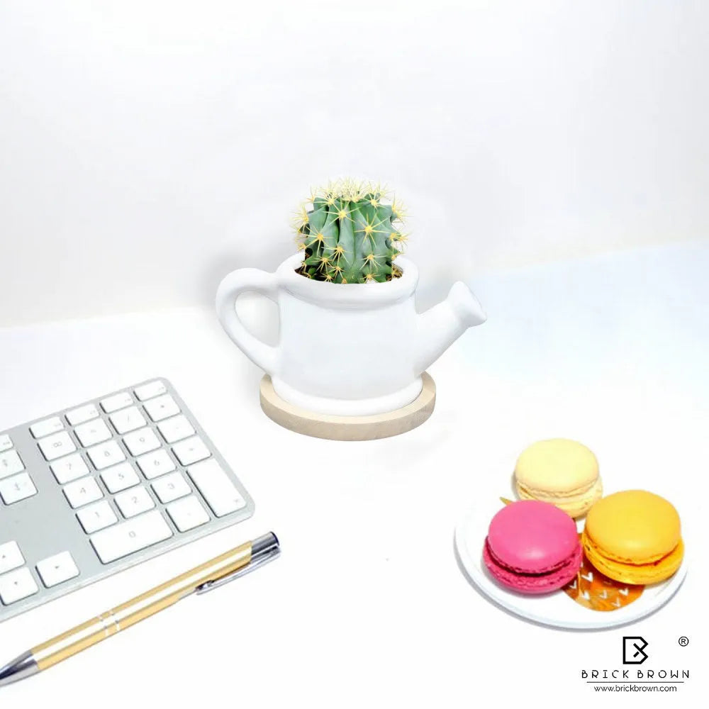 Kettle Planter with Wooden Base