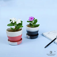 Multi Color Planter with Base