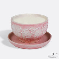 Pink Cup Saucer Planter