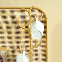 Regalia Organizer