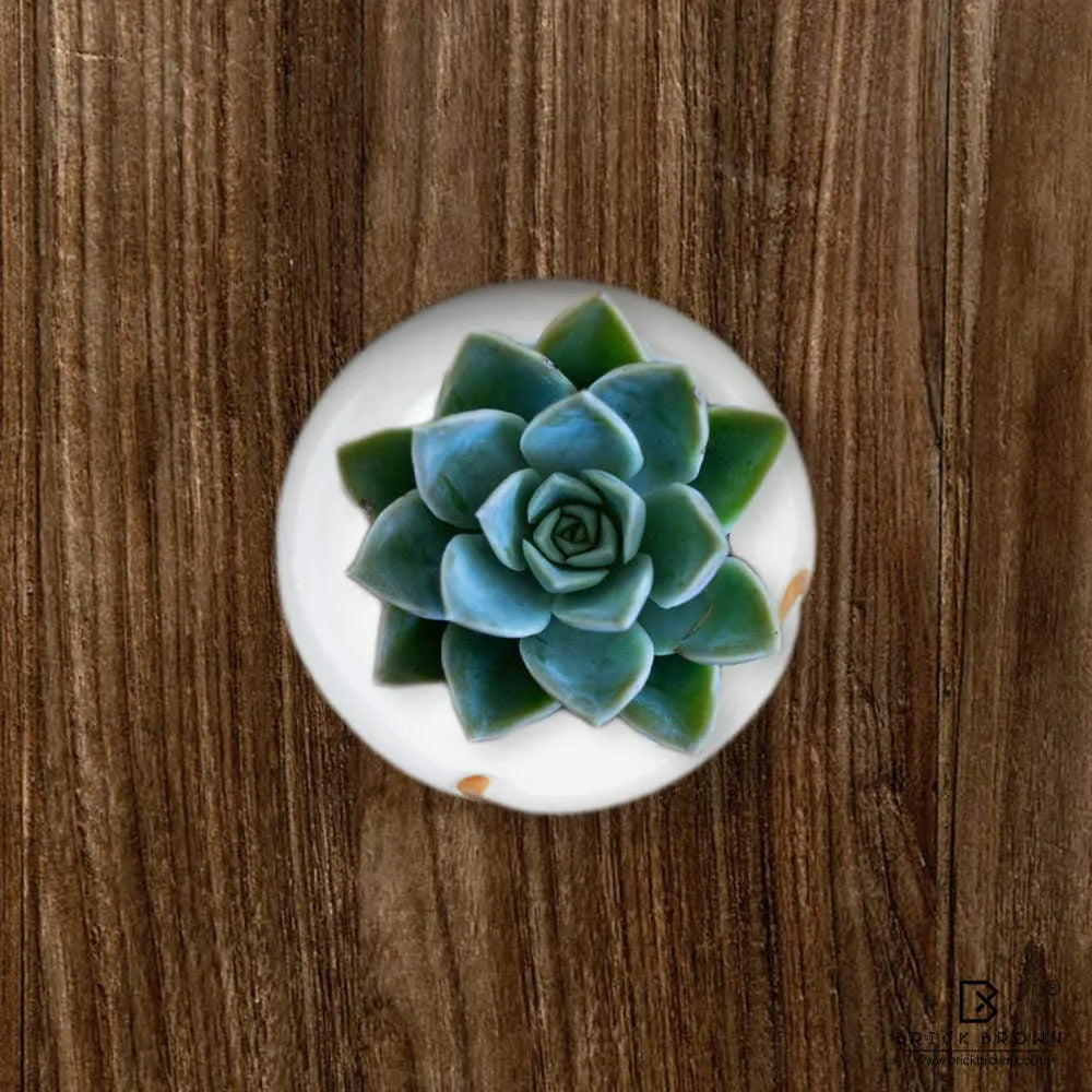 Cute Puppy Face Planter with Wooden Base