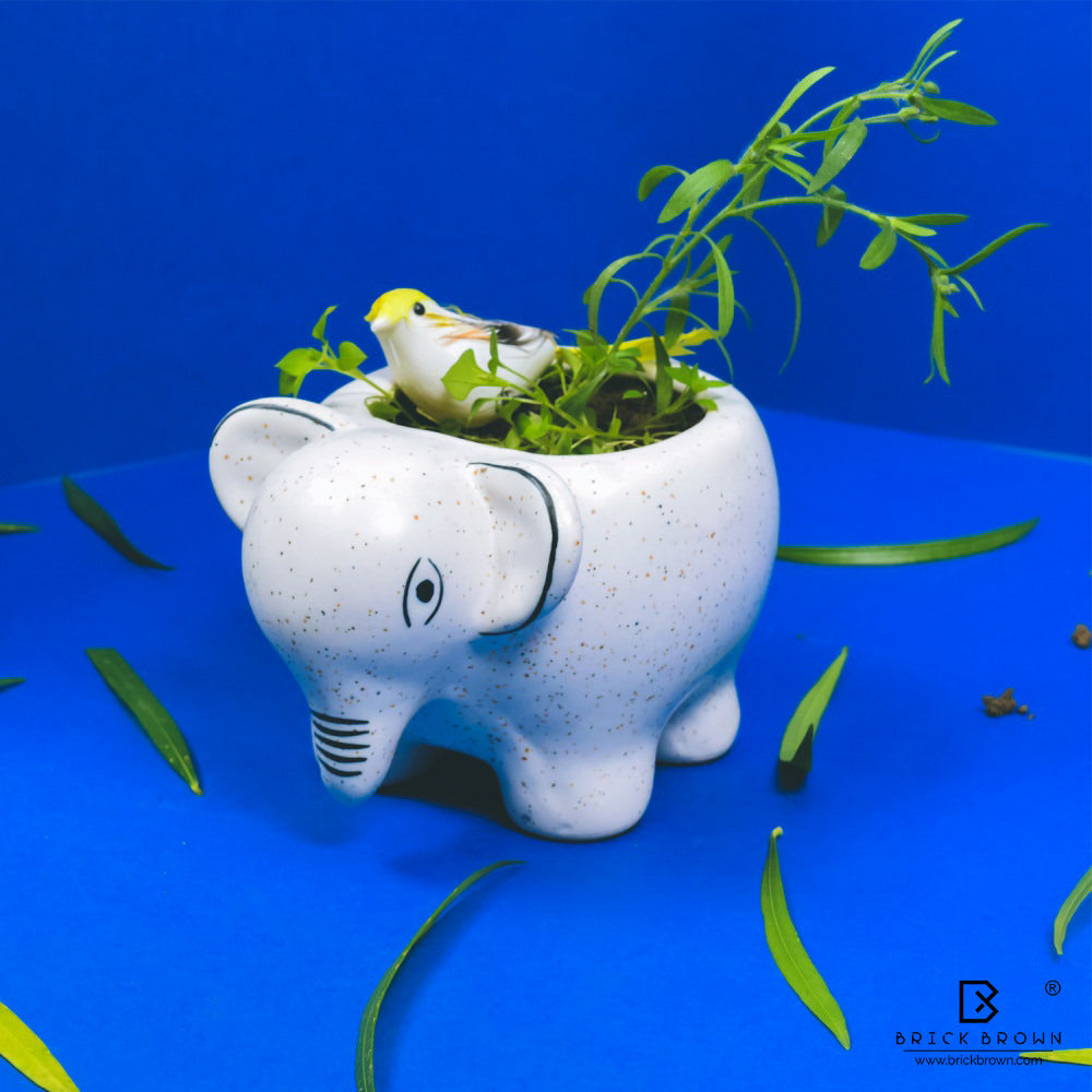 Cute Baby Elephant Planter in Ceramic