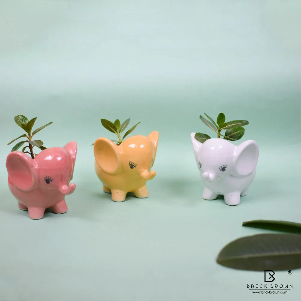 Mini Elephant Planter