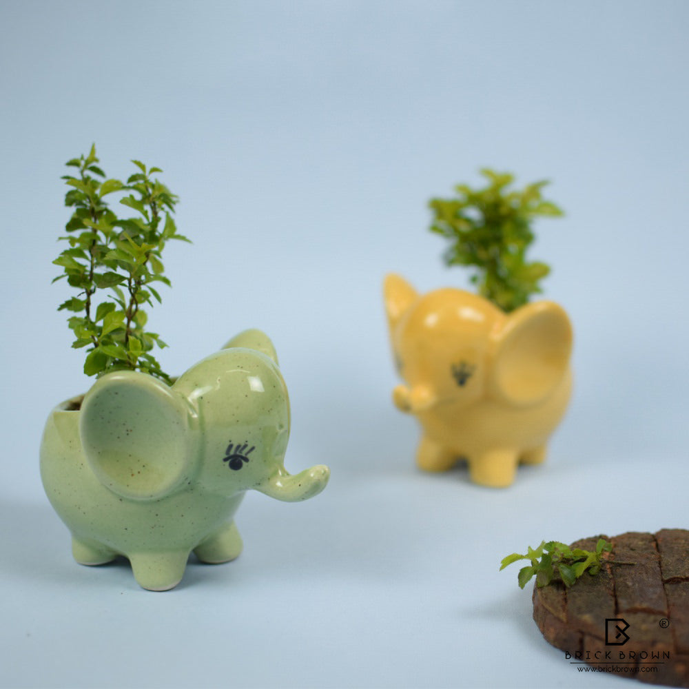 Mini Elephant Planter