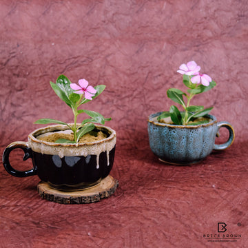 Dual-tone Cup Planter from the Wildscape Collection