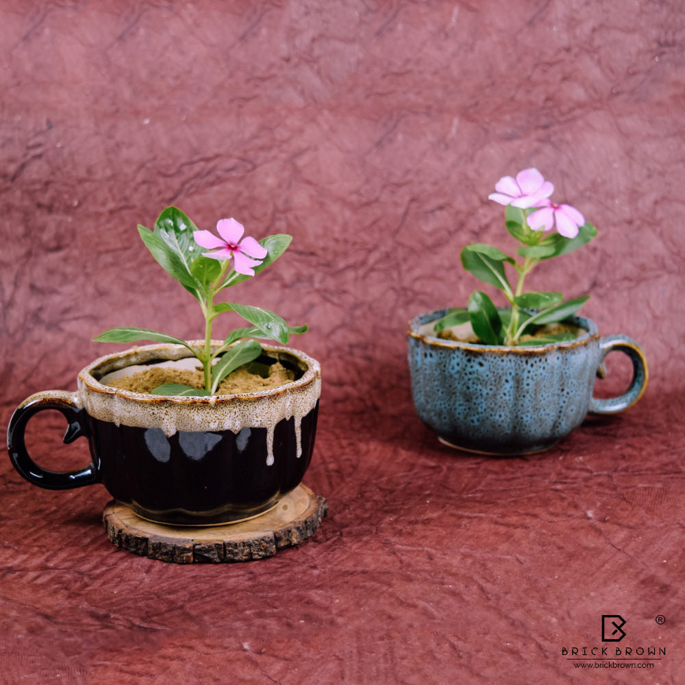 Dual-tone Cup Planter from the Wildscape Collection