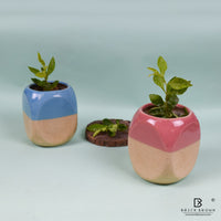 Cube Planters in Pink and Blue - Set of 2