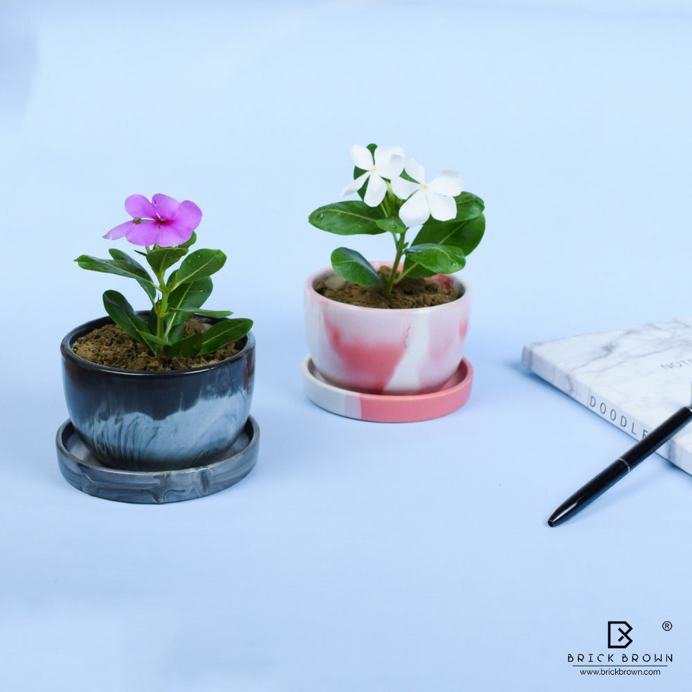 Planter with Base in Black Marble Texture