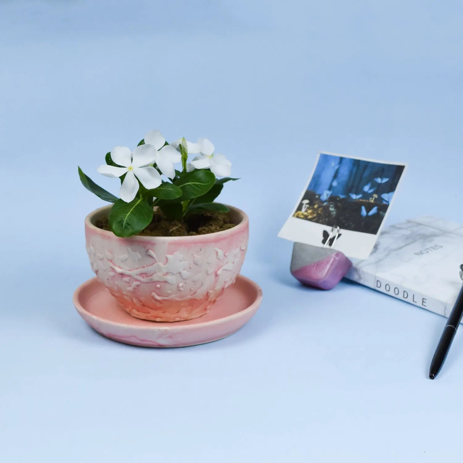 Pink Cup Saucer Planter