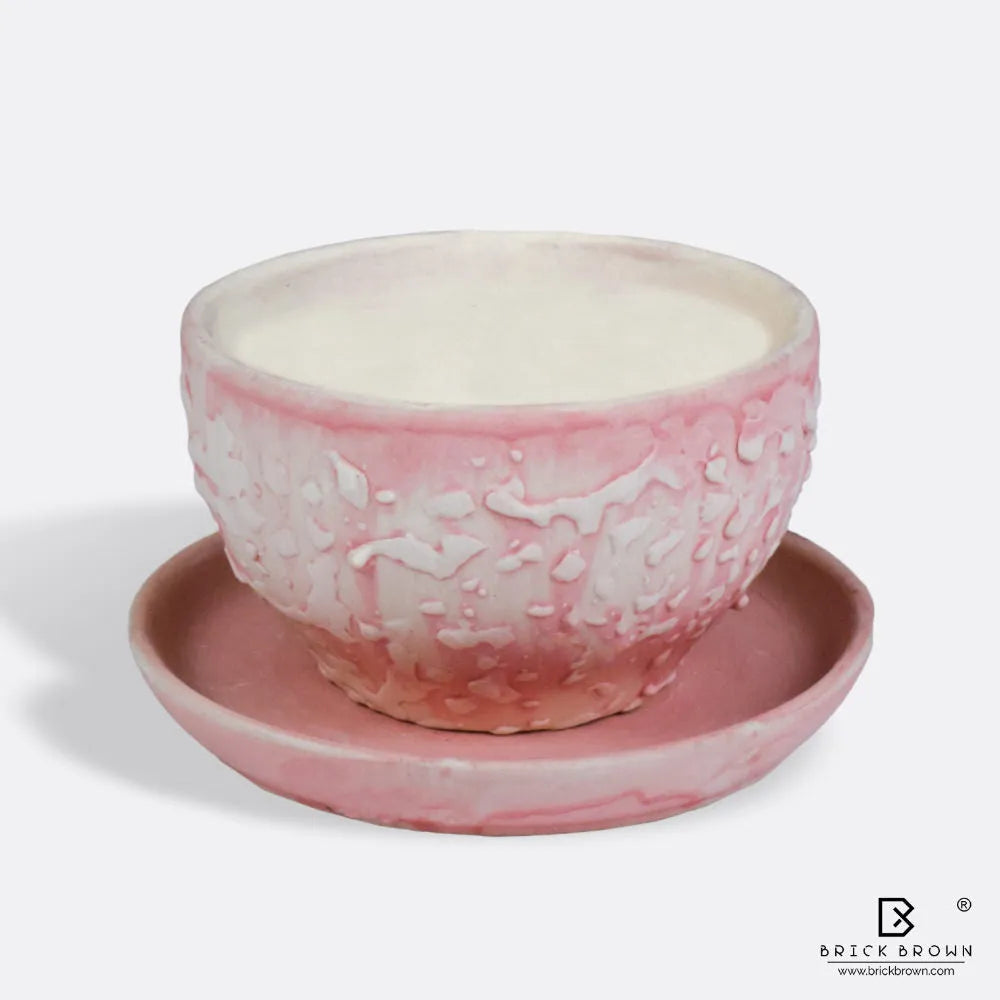 Pink Cup Saucer Planter